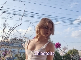 Chloecolts