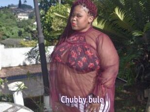 Chubby_bule