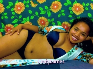 Cindybarnes