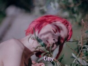 Citty