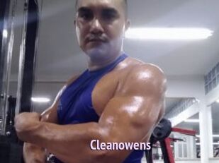 Cleanowens