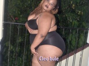 Cleo_bule