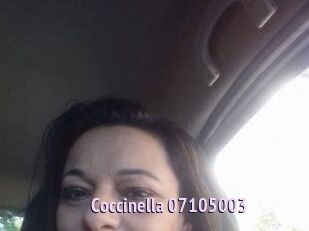 Coccinella-07105003