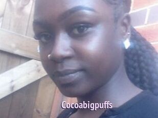 Cocoabigpuffs