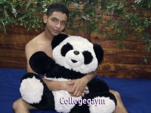 Collegegaym