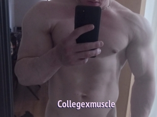 Collegexmuscle