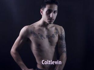 Coltlevin