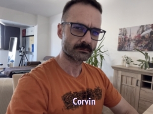 Corvin