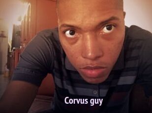 Corvus_guy