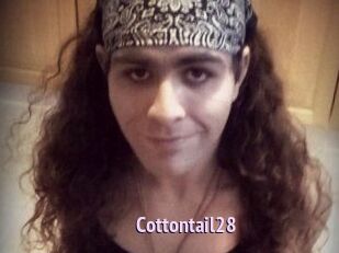 Cottontail28