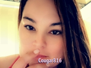 Cougar816
