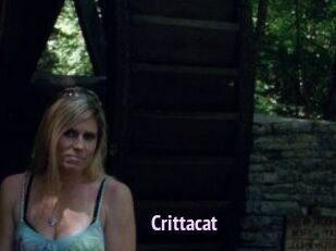 Crittacat
