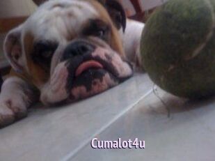 Cumalot4u
