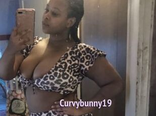 Curvybunny19