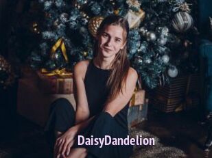 DaisyDandelion