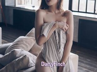 DaisyFinch