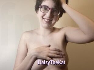 DaisyTheKat