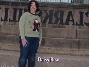Daisy_Bear
