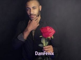 DamFenix