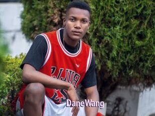 DaneWang