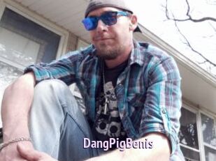 DangPigBenis