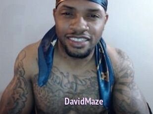 David_Maze