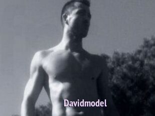 Davidmodel