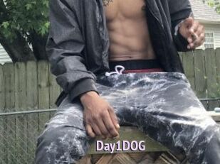 Day1DOG