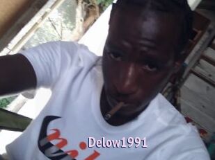 Delow1991