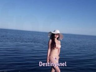 DestinyAnel