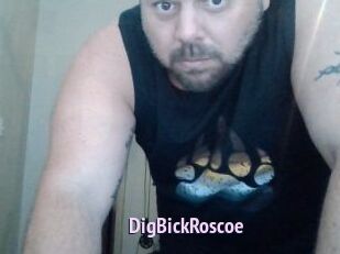 DigBickRoscoe