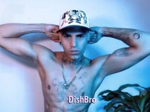 DishBro