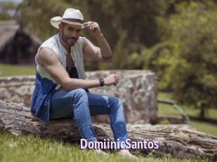DomiinicSantos