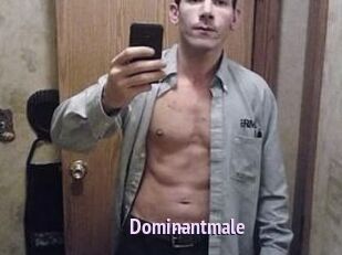 Dominantmale