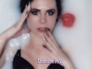 DomineerVi