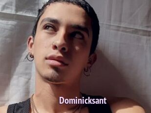 Dominicksant