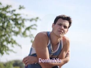 DominikYa