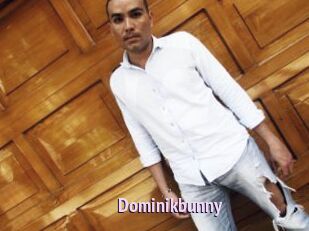 Dominikbunny