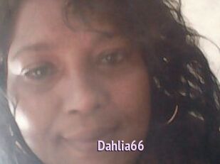 Dahlia66