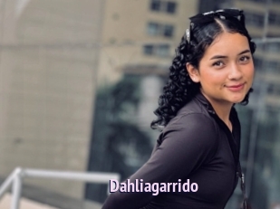 Dahliagarrido