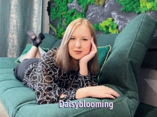 Daisyblooming