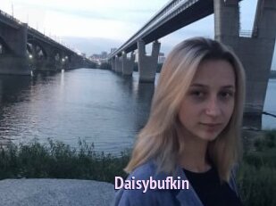 Daisybufkin