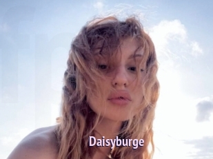 Daisyburge