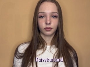 Daisyburland