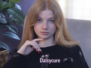 Daisycure