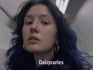 Daisycurles