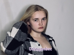Daisygambee