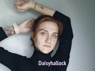 Daisyhallock