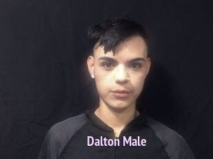 Dalton_Male
