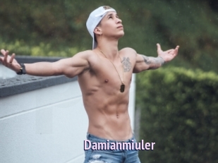 Damianmiuler